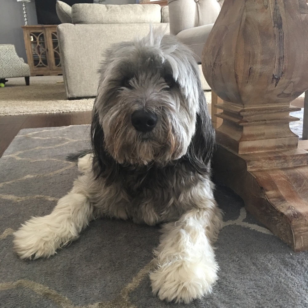 Meet your Posher, Noel